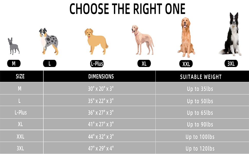 dog bed size