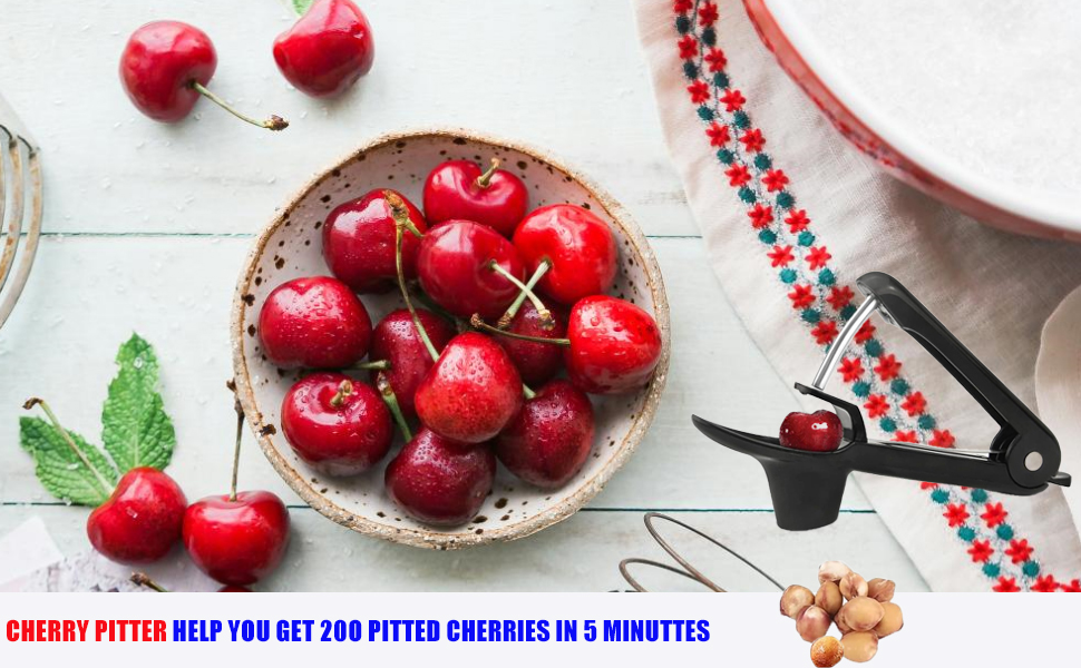 Cherry Pitter