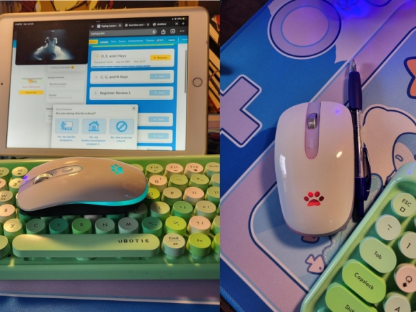 Wireless Bluetooth Mouse