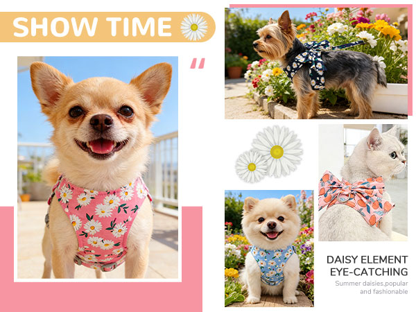 Daisy Floral Harness
