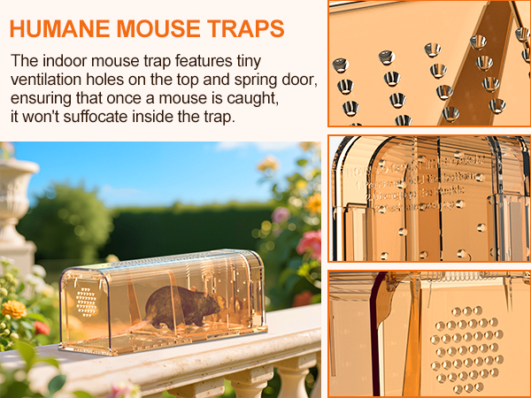 live mouse trap