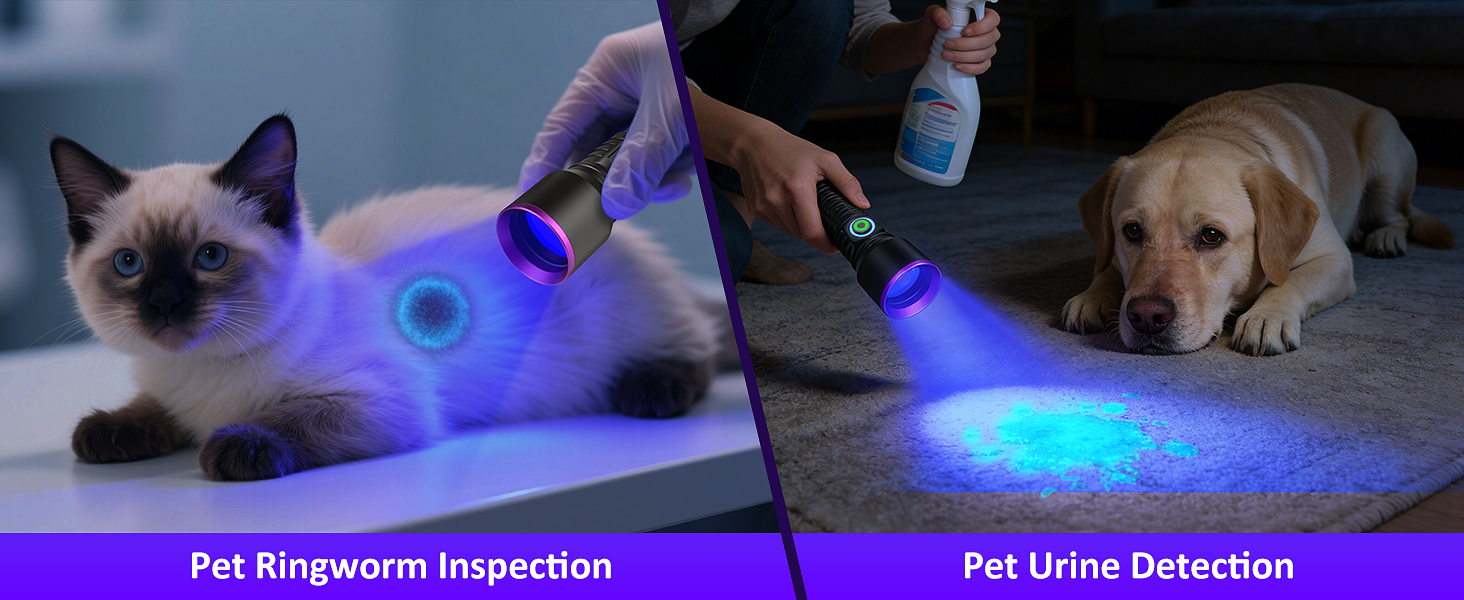 black light for pet urine detection