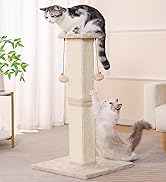 cat scratching post