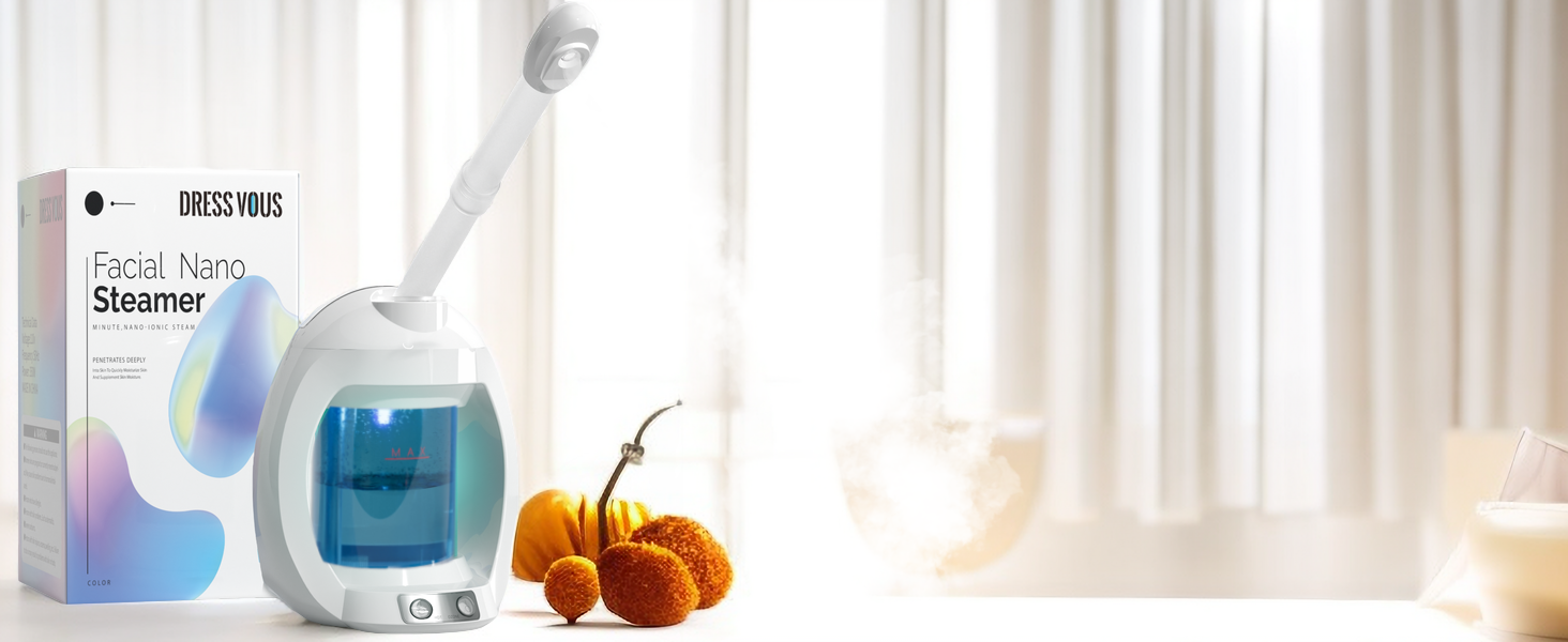 face steamer