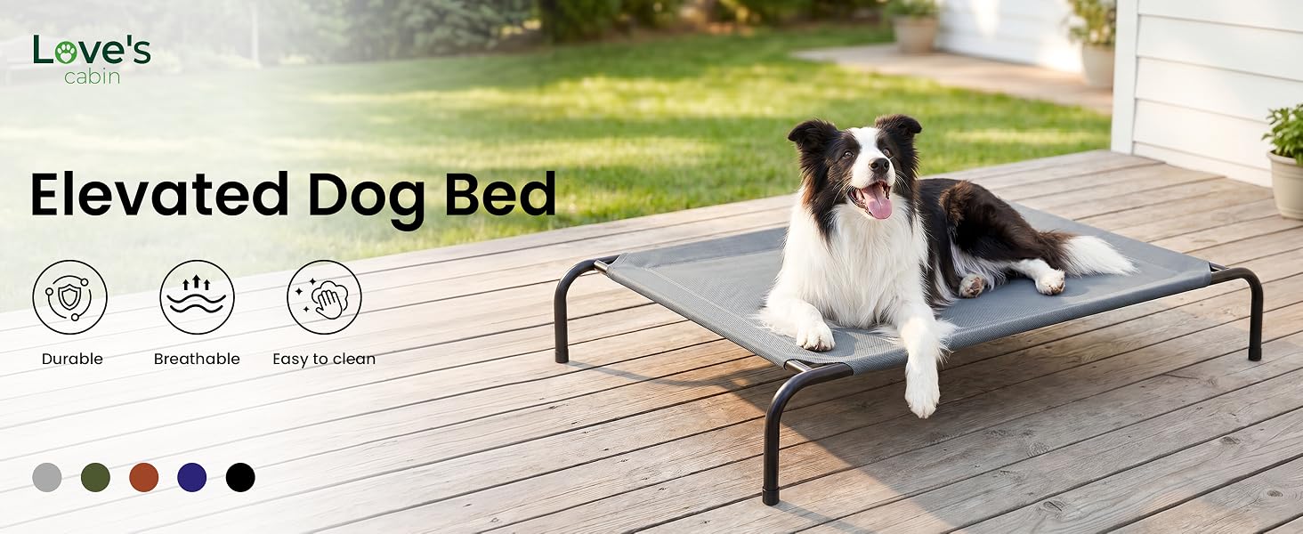 elevated dog bed