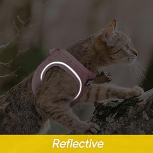 reflective