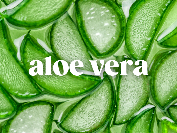 Benefits of aloe vera in skincare: soothing, moisturizing, and healing for all skin types