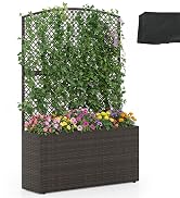 rattan planter box