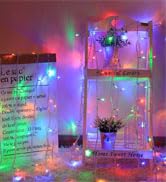 100LED string Lights
