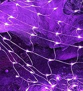 Purple Net Lights