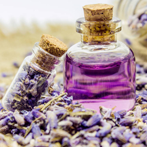 dried flowers for vase