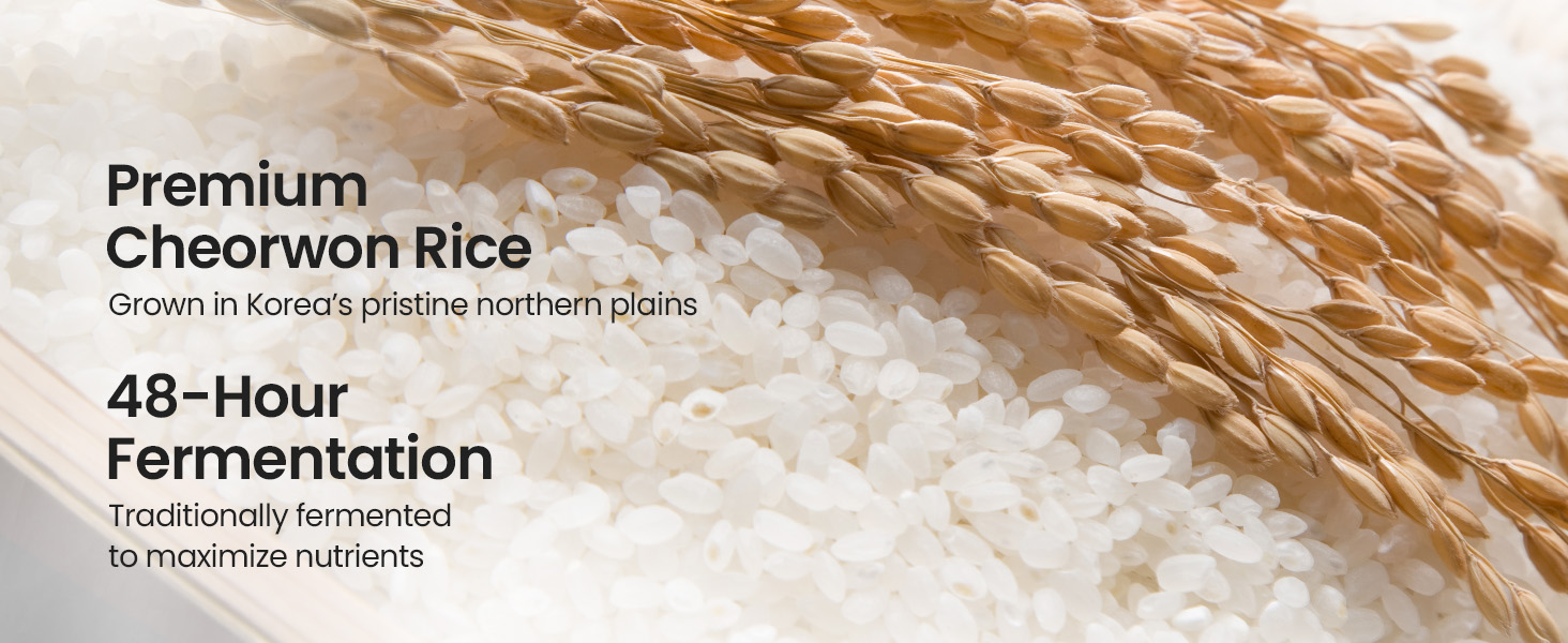 rice line