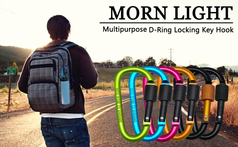 Morn Light 6 Pack D-Ring Locking Key Hook