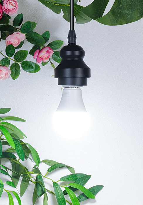 A19 LED Light Bulbs
