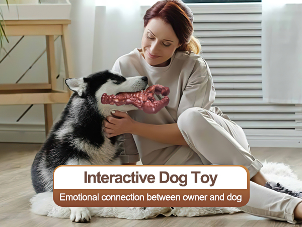 dog toys
