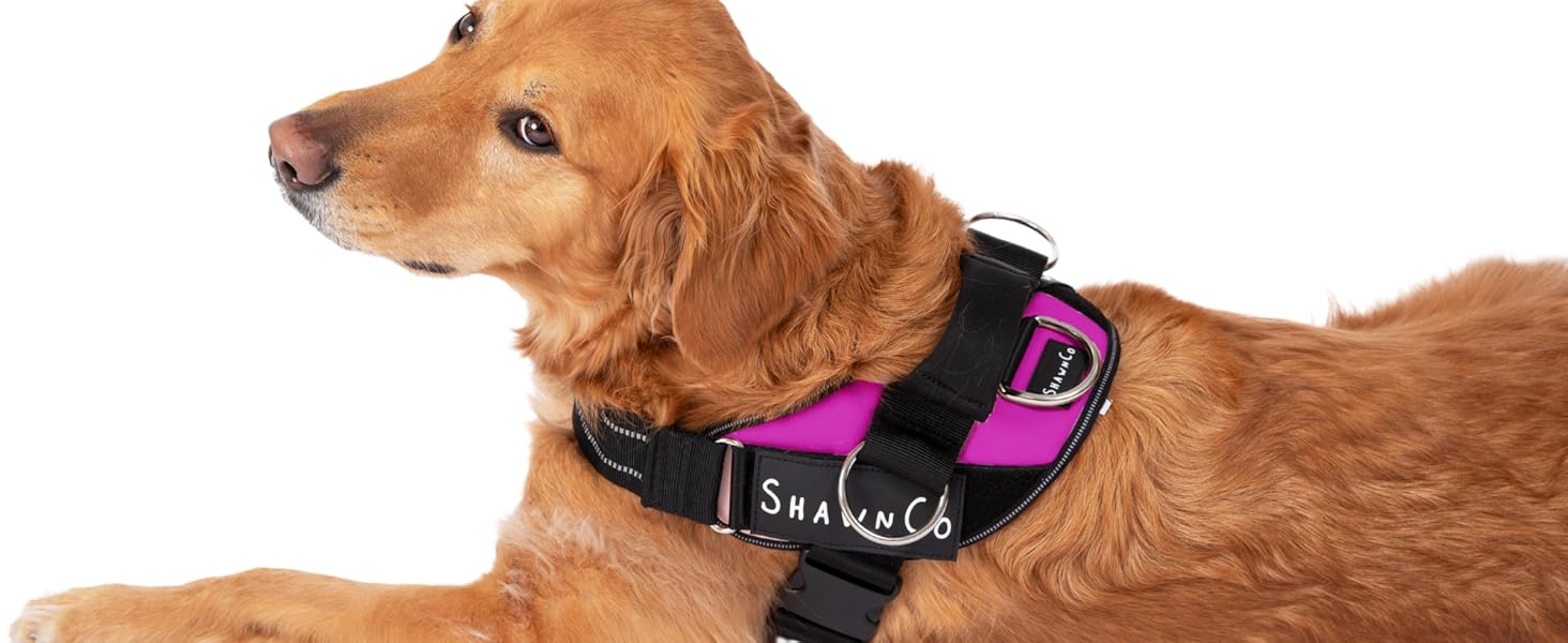 Custom dog harness Personalized dog harness Adjustable dog harness