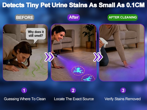 Detects Tiny Pet Urine Stains