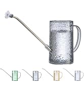 Long Spout Watering Can Indoor Plants, Small Watering Cans for House Plants, Flowers, Succulents ...