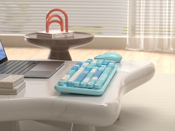 COMPUTER KEYBOARD AND MOUSE