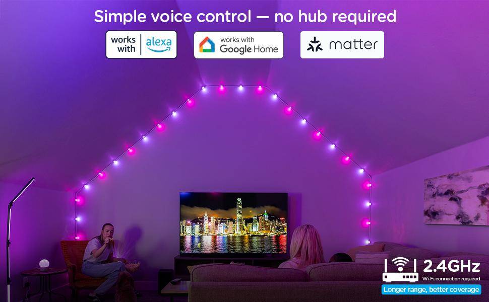 simple voice control, works with alexa and google home