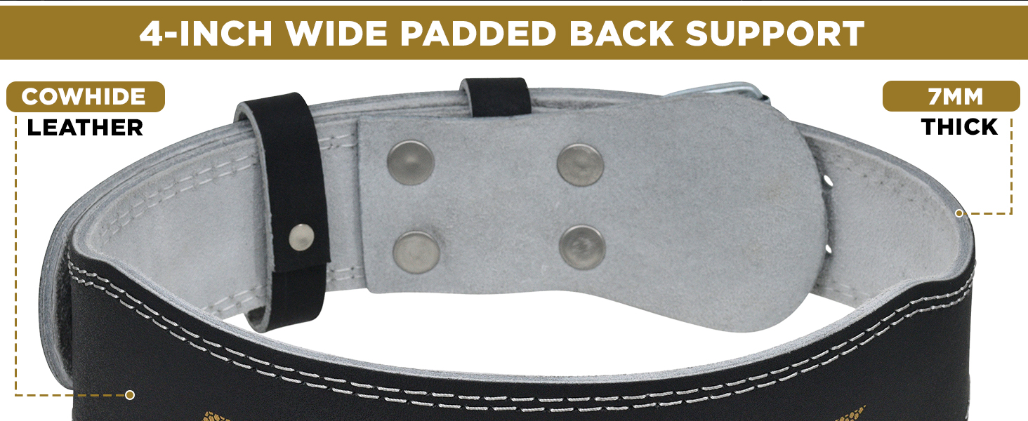 RDX Weight Lifting Belt