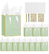 12 Pack DIY Metallic Paper Gift Bags With Handles, Tissue Paper And Painting Pens, 9"X7"X3" 5 Sen...