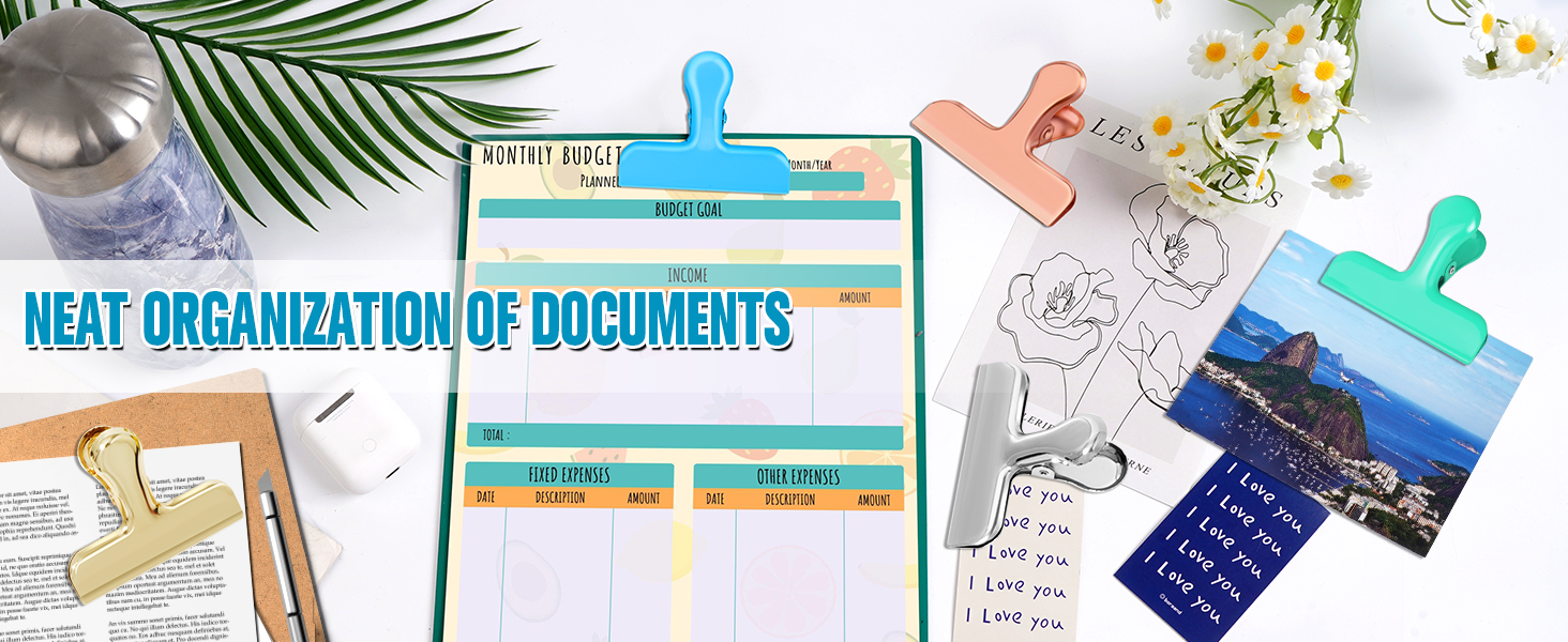 ORGANIZES DOCUMENTS