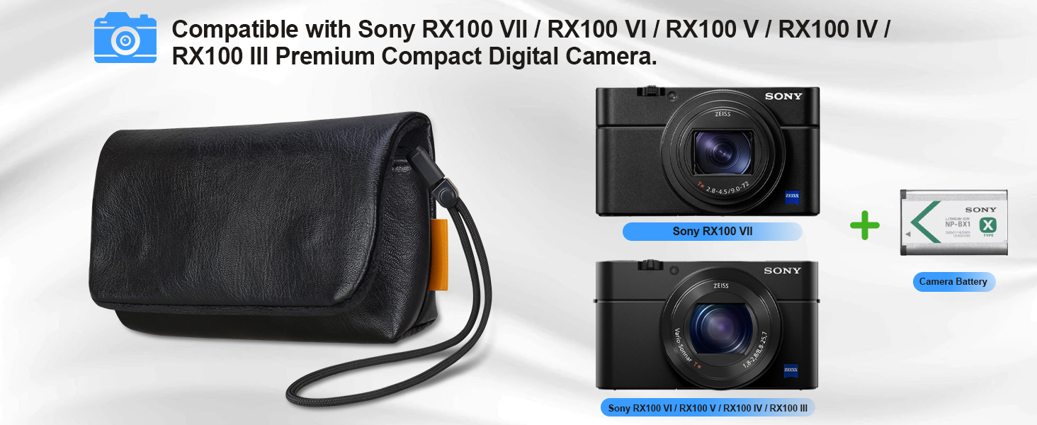 Camera Carrying bag