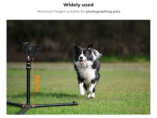 Camera tripod with height marker set to 57cm in a grassy field. Text indicates it's the minimum height for photographing pets.