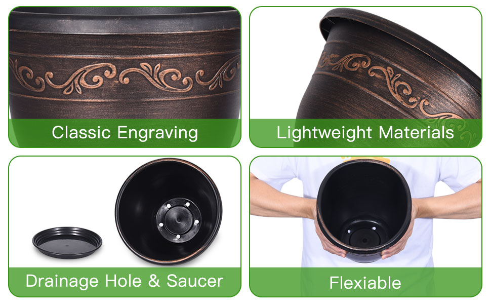 plant pot