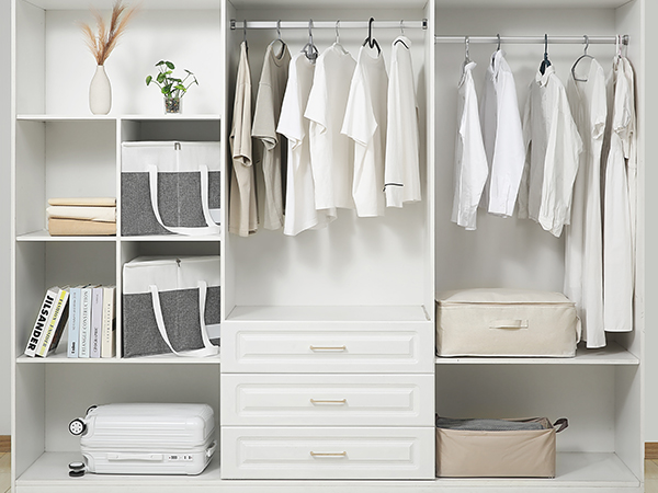 Clothes Hanger Organizer