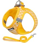 AIITLE No-Pull Pet Harness with a Leash, Plaid Comfort Padded Vest, Step in Dog Harness, Reflecti...