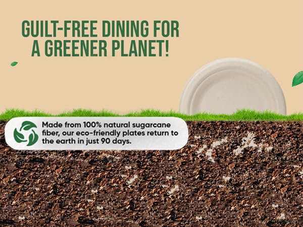 DISPOSABLE SUGARCANE PULP PAPER PLATES