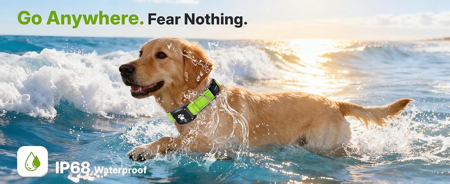 Dog wearing MYIWB collar with IP68 rated locator tag swimming in ocean waves