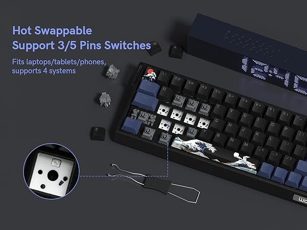 Hot-Swappable Switches