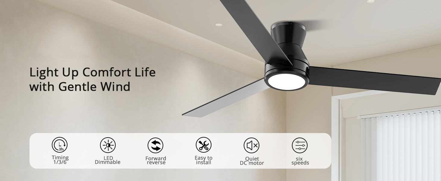 Ceiling Fans with Lights