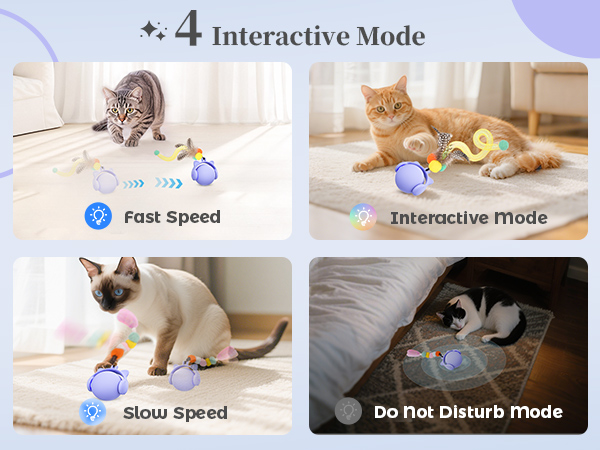 cat toy ball