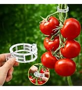 FEED GARDEN 120Pcs Plant Clips for Climbing Plants-Tomato, Cucumber, Grape & Vegetable Plant Supp...