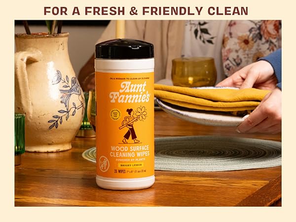 pink disinfectant toilet cleaner vinegar stainless steel