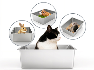 cat litterbox