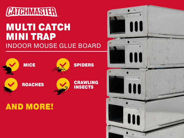 multi catch container glue rat and mouse trap