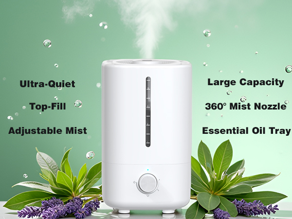 humidifier