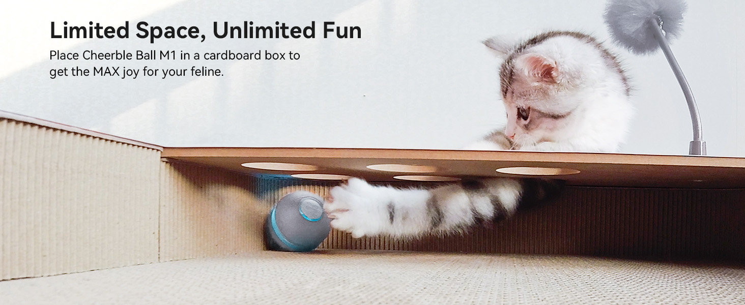 Cheerble Interactive Cat Toy