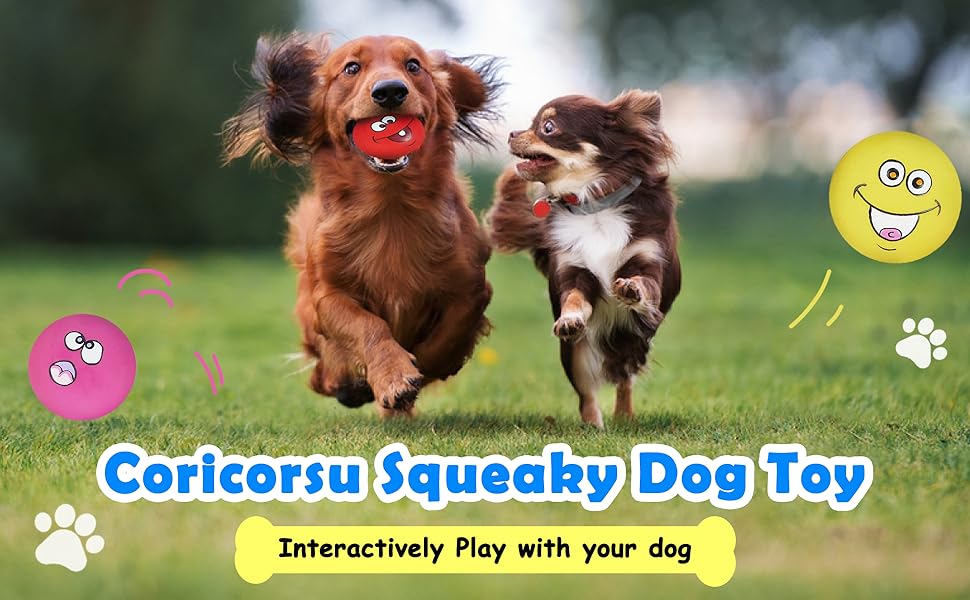 Coricorsu Squeaky dog toys