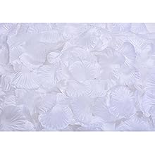 White rose petals