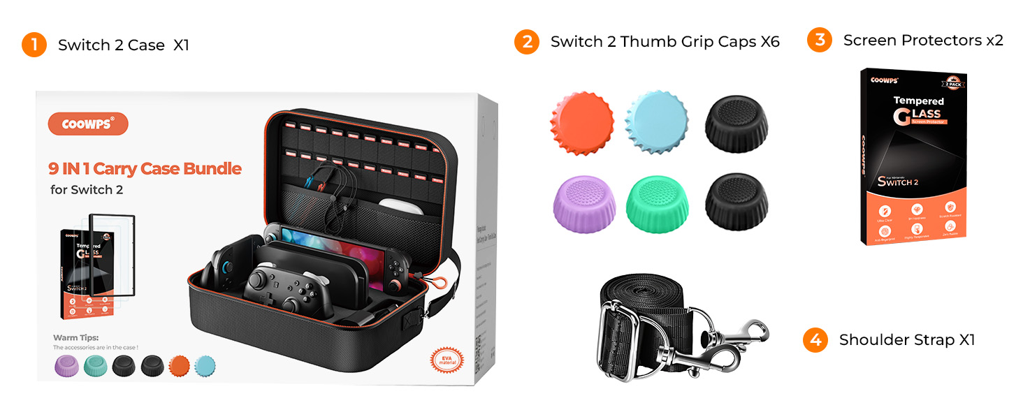 switch 2 case
