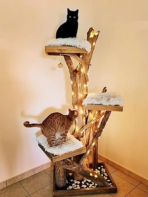 low voltage string lights