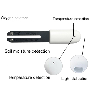 Soil Moisture Meter