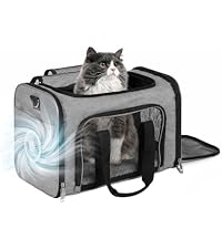 https://m.media-amazon.com/images/I/41MzcrJJnmL.__AC_SR200,225___.jpg