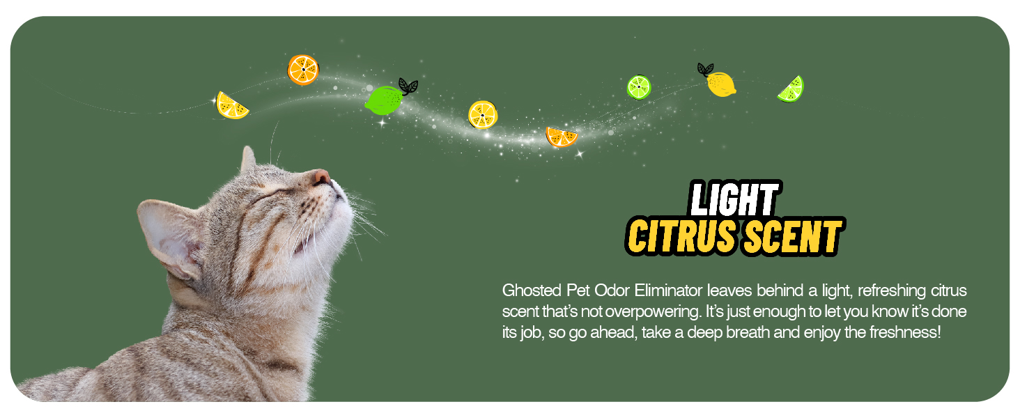 Ghosted Pet Odor Eliminator